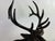 Handsome Vintage Cast-Iron Stag Sculpture For Sale - Image 9 of 12