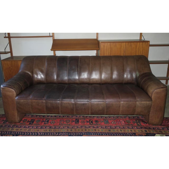 Buffalo Leather Model DS44 Sofa from de Sede, Switzerland 1970s For Sale - Image 6 of 6