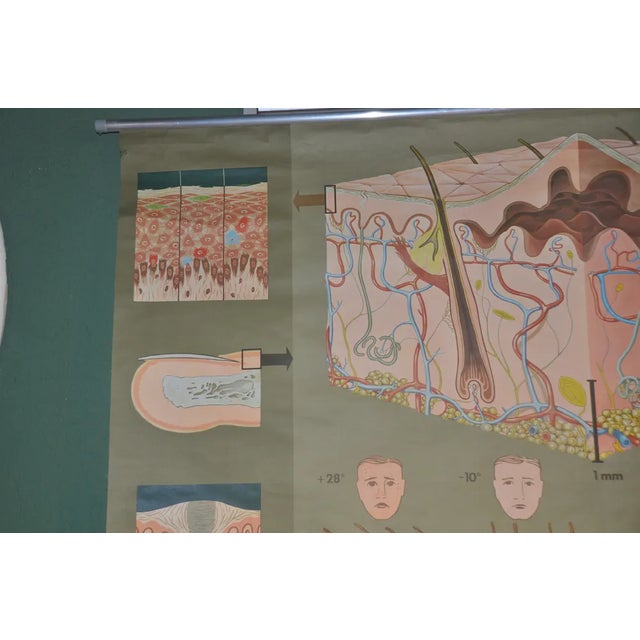 German School Print in Leather Edition, 1981 For Sale - Image 3 of 9