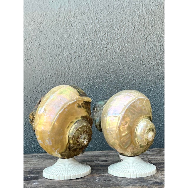 Vintage Deco Nautilus Shell Lamps - A Pair For Sale In West Palm - Image 6 of 12