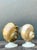 Vintage Deco Nautilus Shell Lamps - A Pair For Sale In West Palm - Image 6 of 12
