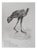 Caesar, Hen on the Move, 1980, Lithograph For Sale