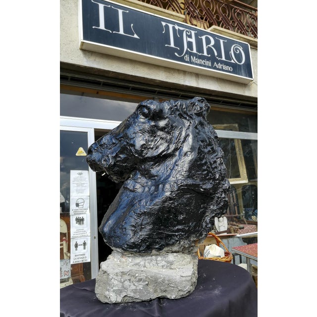 Black Statue Horse Horse in Black Painted Cement, Italy For Sale - Image 8 of 10