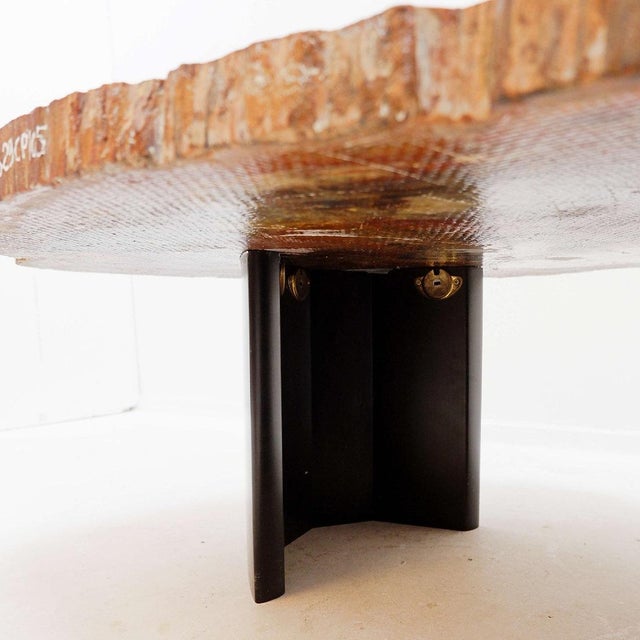 Brutalist Red Arizona Petrified Wood Coffee Table For Sale - Image 3 of 16