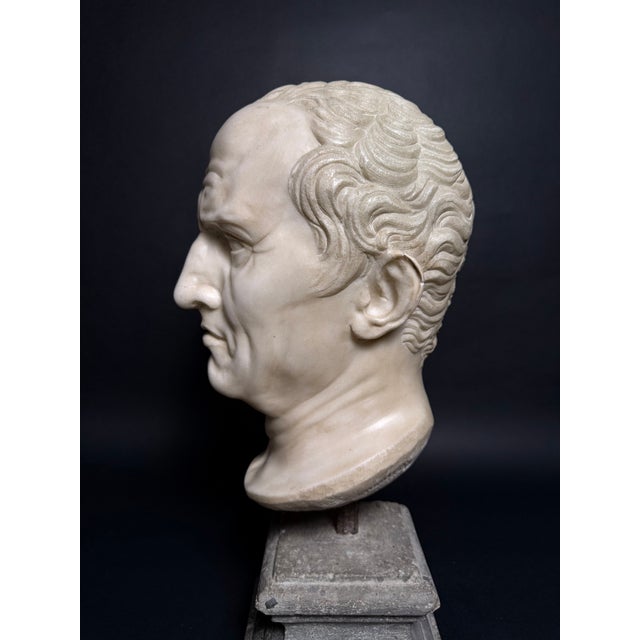 Head of Marcus Tullius Cicero, Late 18th Century, Marble For Sale - Image 9 of 18