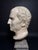 Head of Marcus Tullius Cicero, Late 18th Century, Marble For Sale - Image 9 of 18