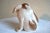 Royal Copenhagen Royal Copenhagen Denmark, Porcelain Pointer Puppies Dog Figurine, 1889-1922 For Sale - Image 4 of 7