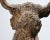Early 20th Century Cast-Iron Architectural Bull Sculpture, 21"h For Sale - Image 6 of 10