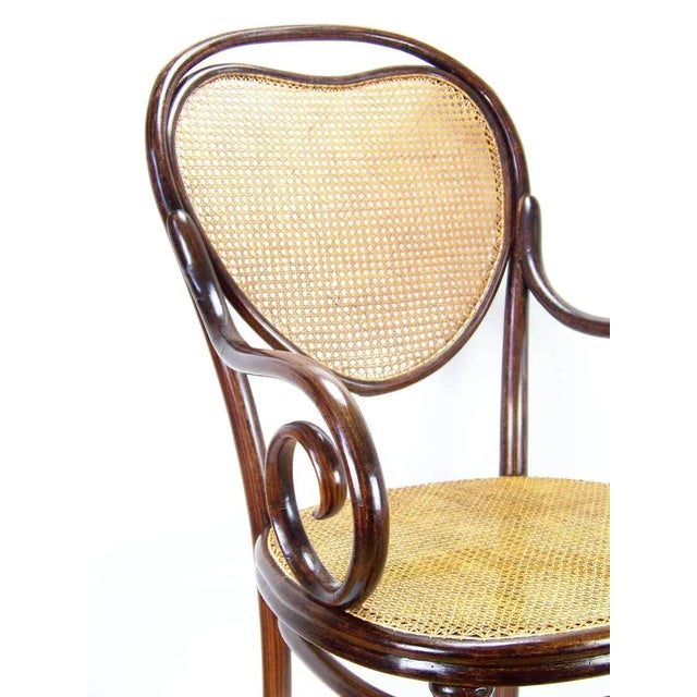 Viennese Nr. 3 Armchair from Thonet, 1860s For Sale - Image 6 of 7