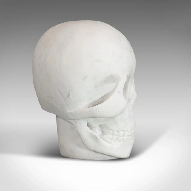 20th Century Marble Decorative Ornamental Skull For Sale - Image 4 of 11