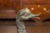Vintage Bronze Ducks Standing on Their Palmed Feet, circa 1940 - a Pair For Sale - Image 9 of 12