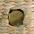 Tan Mario Lopez Torres Elephant Trunk (Med) For Sale - Image 8 of 9