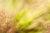 'In the Pink' Set of Botanical Photographs, Series of Four 36 X 24" Fine Art Photography Prints For Sale - Image 10 of 15