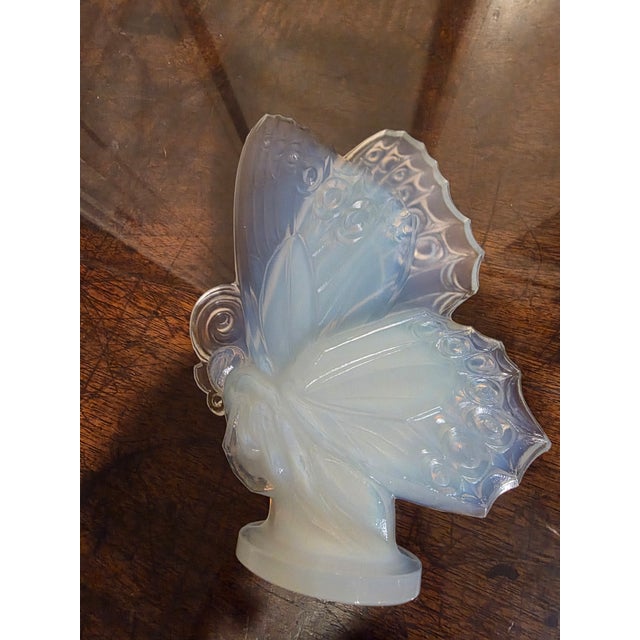 Sabino Butterfly With Closed Wings For Sale In San Antonio - Image 6 of 8