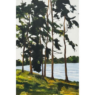 Tall Riverside Pine Trees in the English Countryside with dappled light & water 2009 For Sale