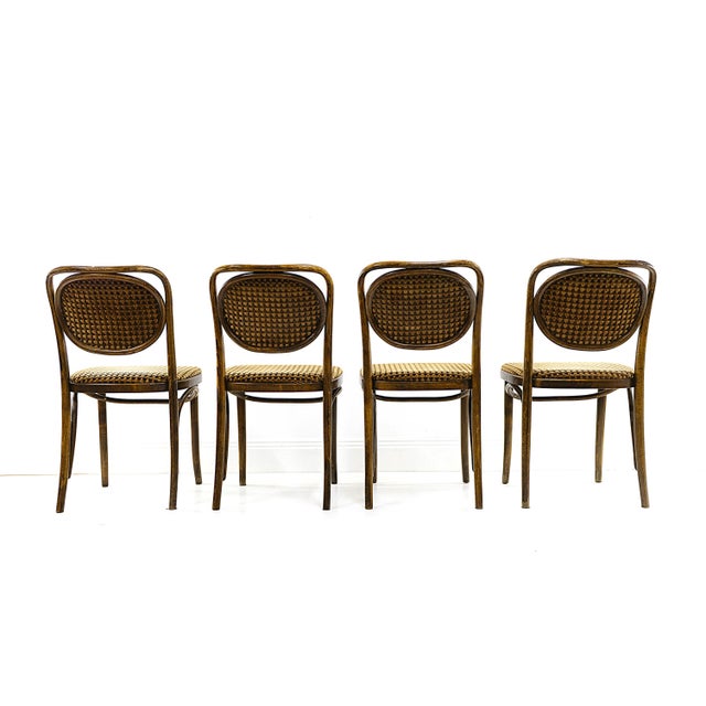 Vintage Bentwood Chairs, 1970s, Set of 4 For Sale - Image 6 of 8