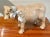 American Wonderful Vintage Cow Sculpture Standing 9” High X 15” Long For Sale - Image 3 of 8
