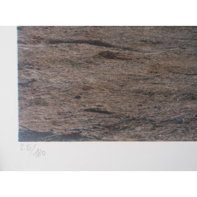 JR, Death Valley, 2021, Original Signed Lithograph For Sale - Image 7 of 8