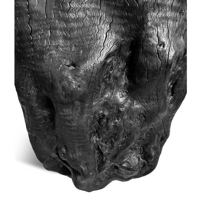 2020s Natural Form Black Organic Modern Stump Stool / Side Table For Sale - Image 5 of 5