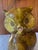 Mid 20th Century Ceramic Owl Signed “Ostie” For Sale - Image 5 of 10