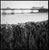 Not Yet Made - Made To Order Paul Cooklin, Seaweed, Cromer Beach, North Norfolk, Edition of 50 For Sale - Image 5 of 5
