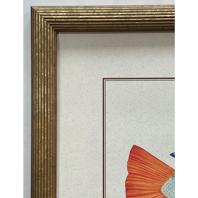 Late 20th Century 'Tropical Fish 1 & 2' Art Prints by Maggie Riegler - Pair For Sale - Image 10 of 11