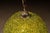 MCM Acrylic Spaghetti Globe Pendant Light For Sale - Image 4 of 6