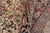 Textile Shabby Chic Pak-Persian Ivory/Black Wool Rug - 9'0'' X 11'0'' For Sale - Image 7 of 9