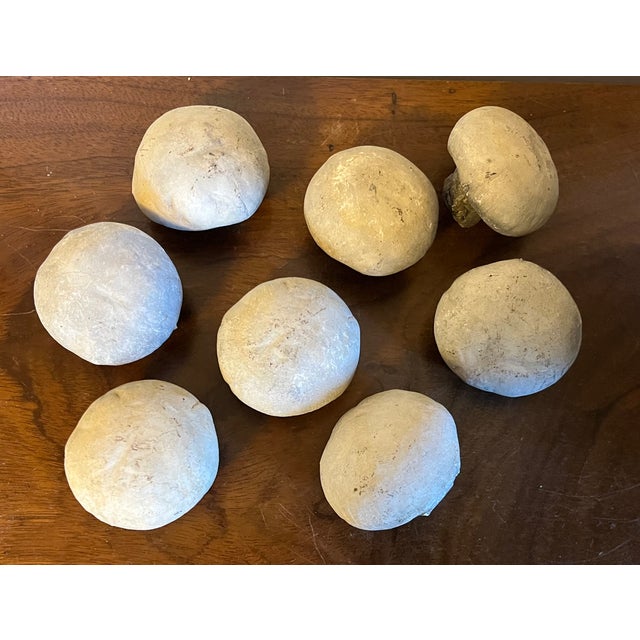 Collection of MidCentury French Composition Stone Models of Mushrooms