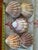 Nature 60-Piece Fine Seashell & Coral Collection For Sale - Image 4 of 18