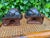 Vintage Artichoke Form Architectural Finials, Pair For Sale - Image 11 of 12