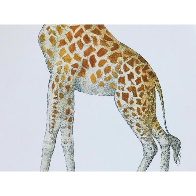 1990s Fornasetti Framed Lithograph of a Giraffe For Sale - Image 4 of 13
