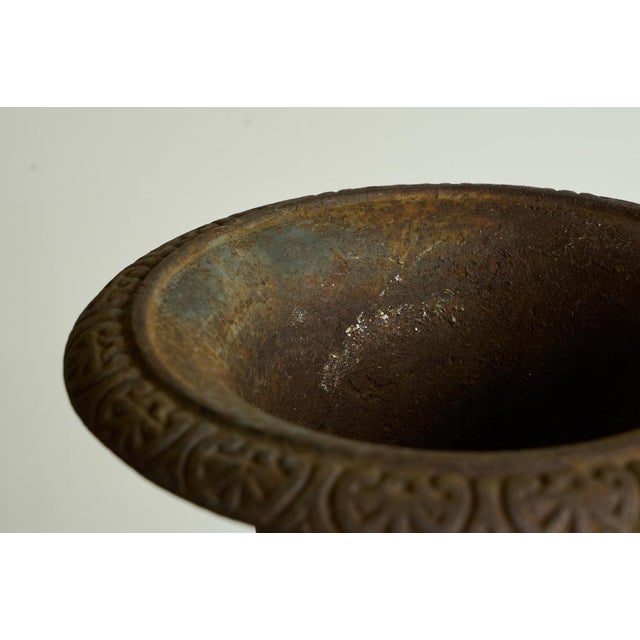 Antique Neoclassical Cast Iron Planter, 1890s For Sale - Image 11 of 14