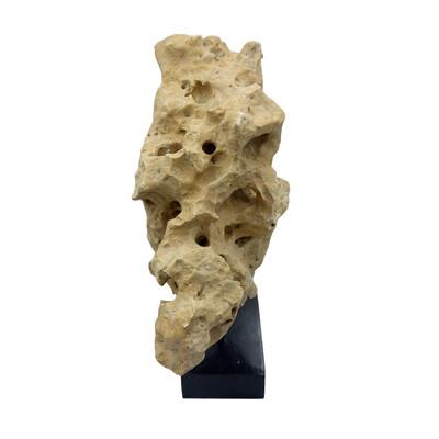 Natural coral stone from Indonesia with a sandy hue, displayed on a handcrafted teak stand. Its organic texture and warm...