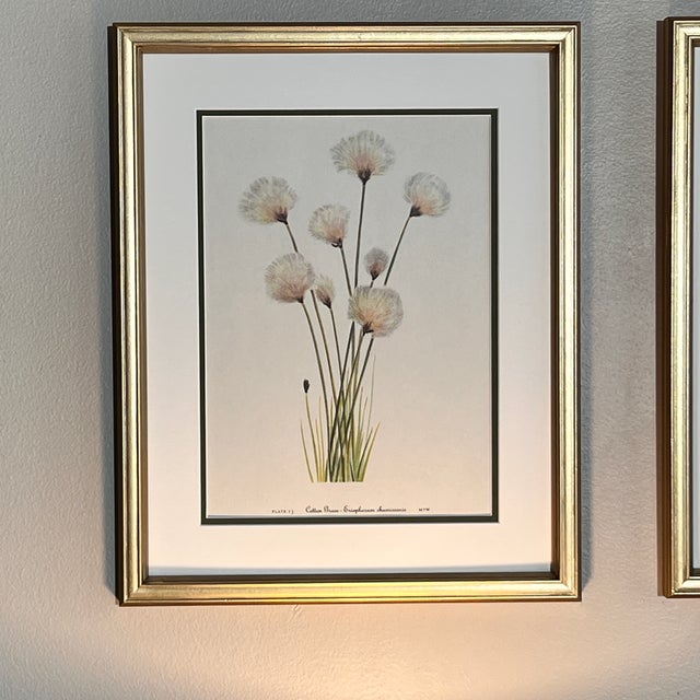 Framed Vintage Botanical Prints, Set of 6 -Authentic 1978 Prints | Chairish