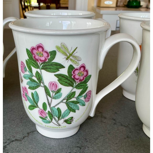 Port Mierion “The Botanic Garden” Coffee Cups - Set for 7 For Sale In New York - Image 6 of 12