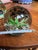 1970s Trio of Green and Blue Glass Paperweights For Sale - Image 12 of 12