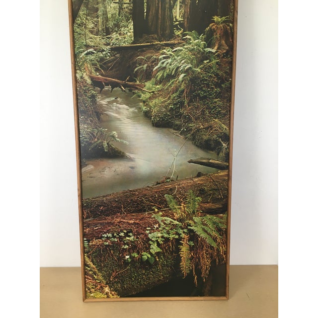 1970s 70s Boho Forest Photograph Wall Hanging For Sale - Image 5 of 8