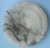 1950s Masterpiece Art Deco Design White Alabaster Chandelier Circular Wooden Frame For Sale - Image 10 of 14