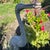 This medium-sized garden statue of a heron is a realistic and detailed piece crafted from metal, perfect for outdoor...