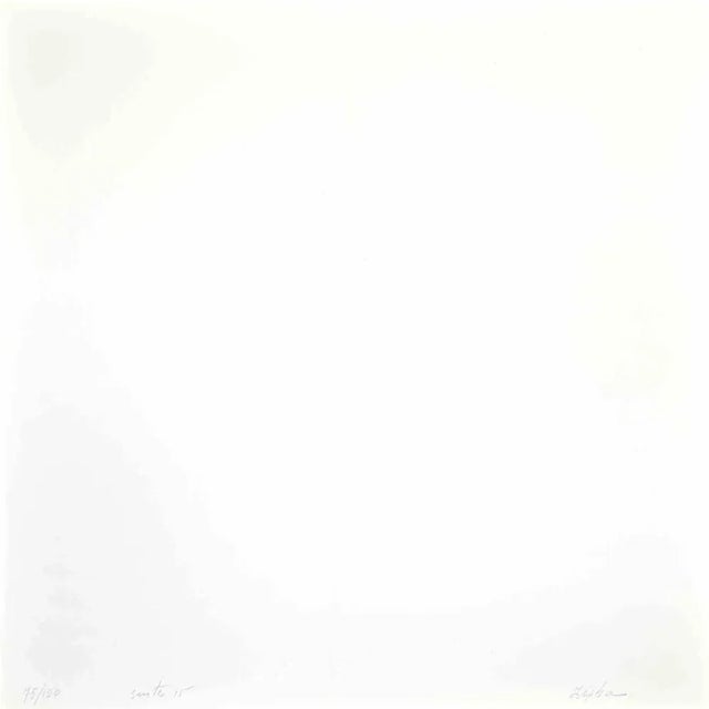 Green Cosmos - Pink is a lithograph realized by Eleni Zerva in 1971. Hand-signed and numbered on the back. Edition of 120...