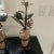 French Antique French Tole Flowers in Pottery Urns- Pair For Sale - Image 3 of 9
