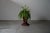 Large Vintage Brazilian Planter, 1960s For Sale - Image 4 of 5