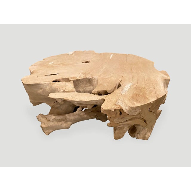 Andrianna Shamaris Organic Bleached Teak Wood Coffee Table or Side Table For Sale - Image 4 of 18