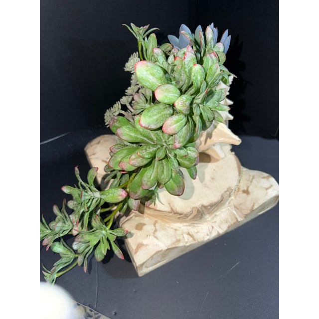 2020s Celestial Meets the Sea Succulent Arrangement For Sale - Image 5 of 6