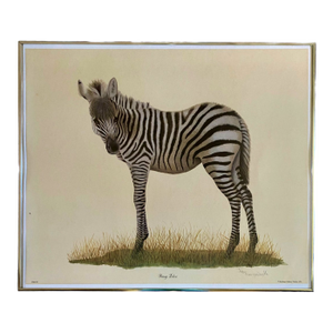 Mid-Century Original Lithograph "Young Zebra" Signed by Imogene H. Farnsworth