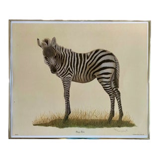 Original Imogene H. Farnsworth Lithograph "Young Zebra" Signed & Numbered For Sale