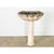 Portuguese 19th Century Carved Stone Pedestal Sink For Sale In Baton Rouge - Image 6 of 13