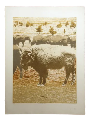 Ted Thomas Vanishing Herd #3 Unframed Realistic Etching Art Print of Buffalos