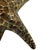 Hollywood Regency Large Vintage Cast Brass Starfish Sculpture or Paper Weight With Aged Patina, Circa 1970s For Sale - Image 3 of 8